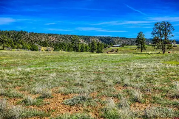 X County Rd 359, Pagosa Springs, CO 81147