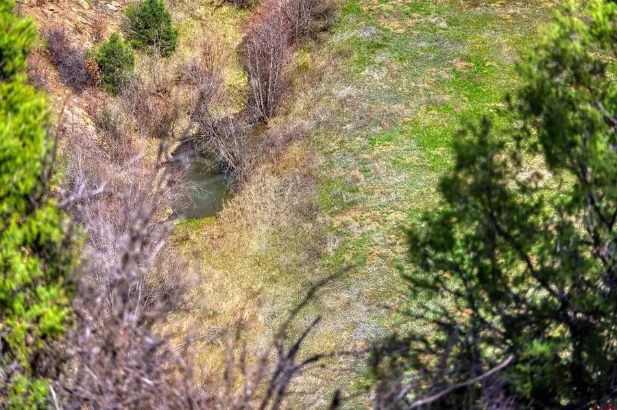 X County Rd 359, Pagosa Springs, CO 81147 - #2