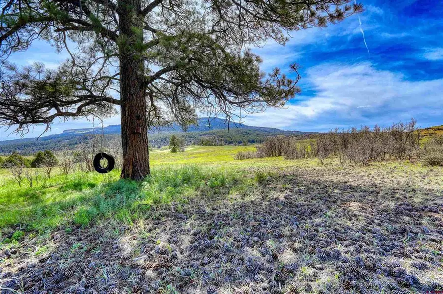 X County Rd 359, Pagosa Springs, CO 81147 - #3