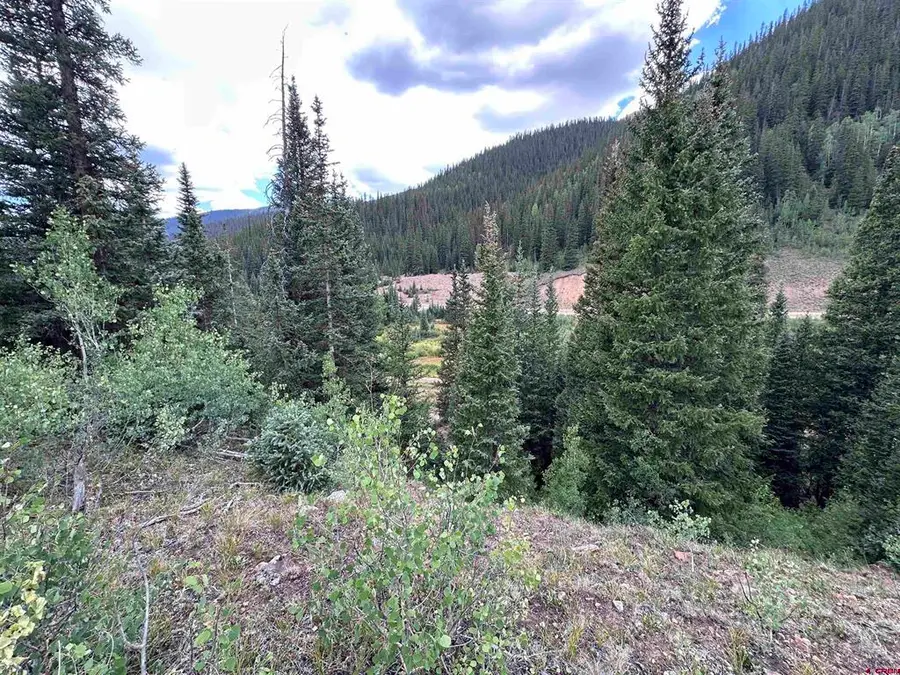Lot 10 Overland Estates, Cr 110, Silverton, CO 81433 - #2