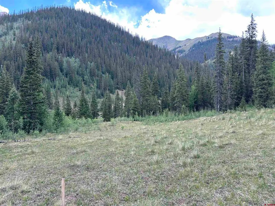 Lot 10 Overland Estates, Cr 110, Silverton, CO 81433 - #3