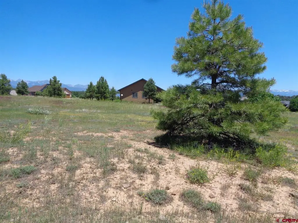 153 Greenway Drive, Pagosa Springs, CO 81147 - #1