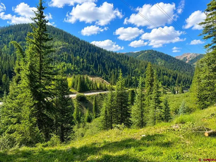 4900 County Road 110, Silverton, CO 81433 - #3
