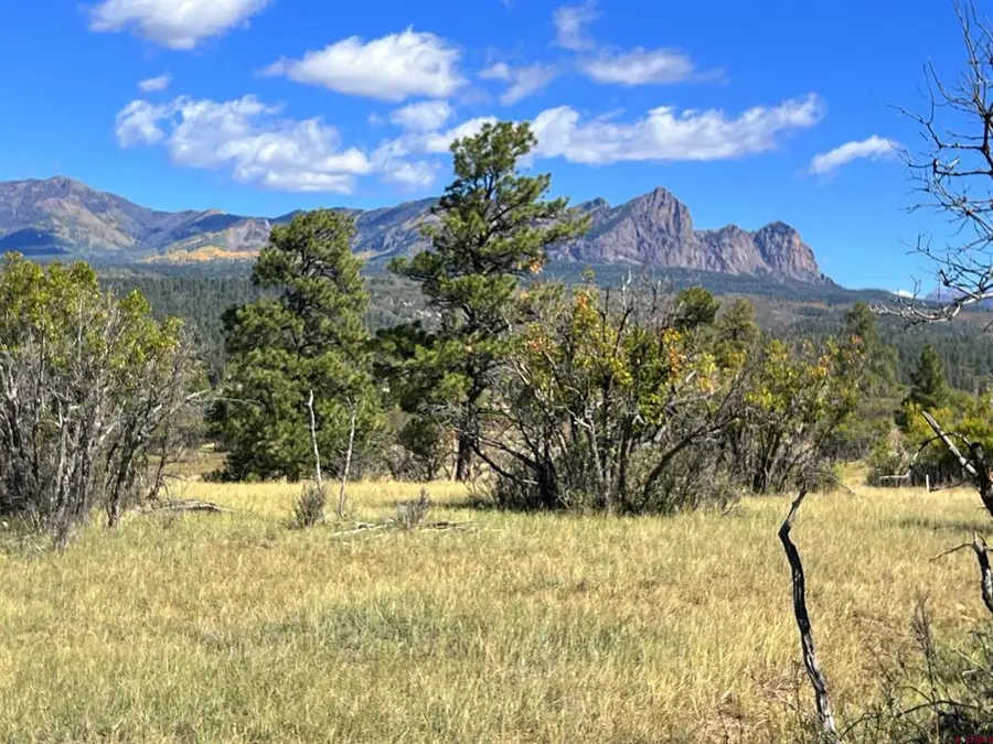 362 Mary's Court, Chromo, CO 81128 - #2