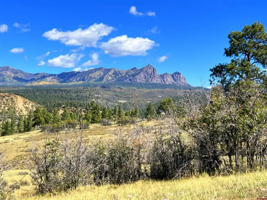362 Mary's Court, Chromo, CO 81128 - #3