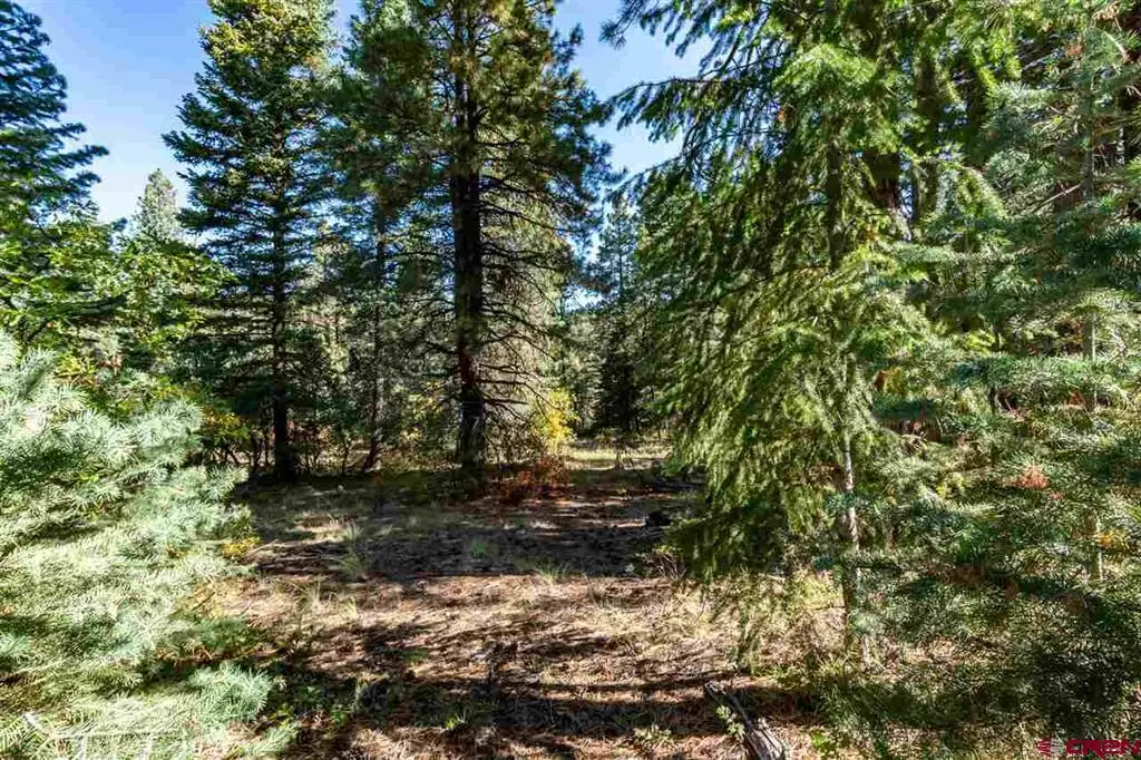 307 Nature's Way, Pagosa Springs, CO 81147 - #1