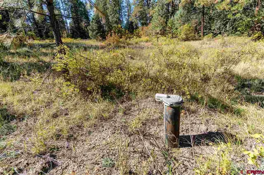 307 Nature's Way, Pagosa Springs, CO 81147 - #2