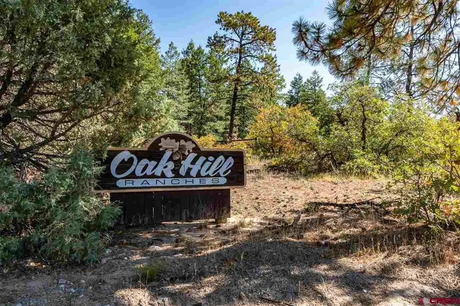 307 Nature's Way, Pagosa Springs, CO 81147 - #3