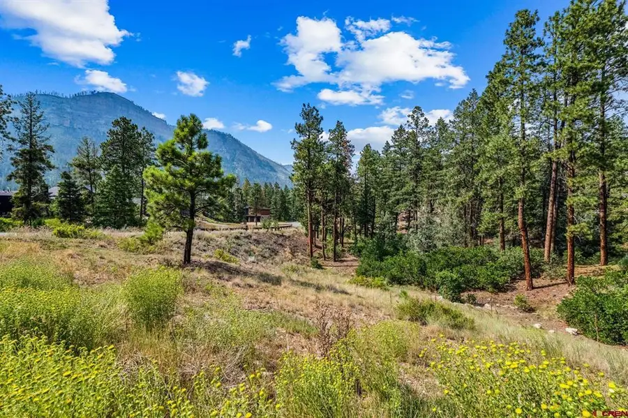 307 Glacier Cliff Drive, Durango, CO 81301 - #2