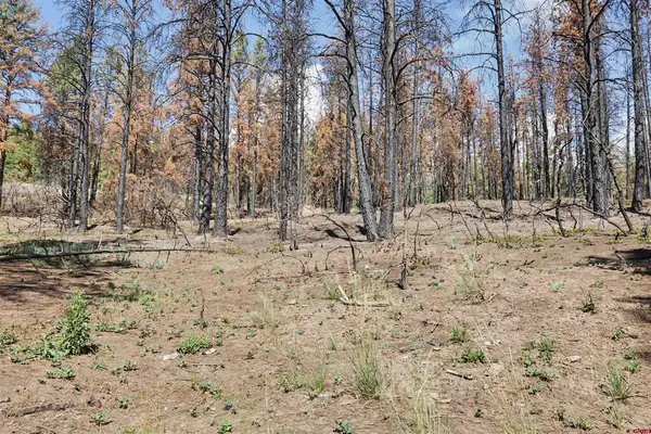 190 Windmill Place, Pagosa Springs, CO 81147