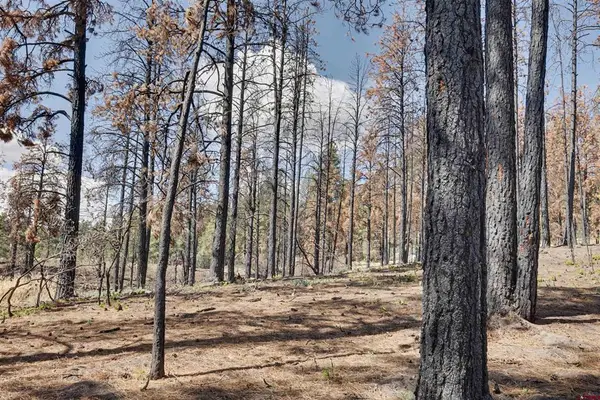 226 Windmill Place, Pagosa Springs, CO 81147