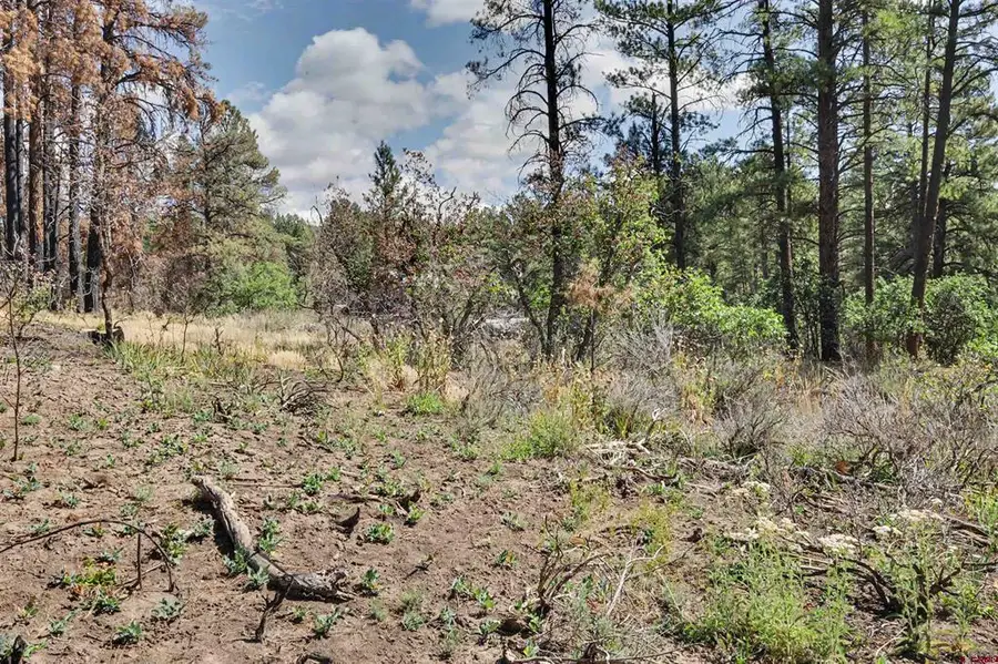 226 Windmill Place, Pagosa Springs, CO 81147 - #3