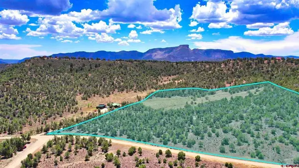 0 Road 35 Road, Mancos, CO 81328