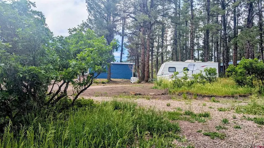 968 Raccoon Drive, Pagosa Springs, CO 81147 - #3