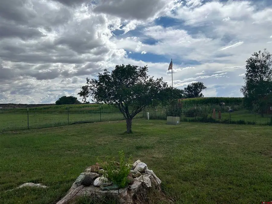 tbd Montana Way, Nucla, CO 81424 - #3