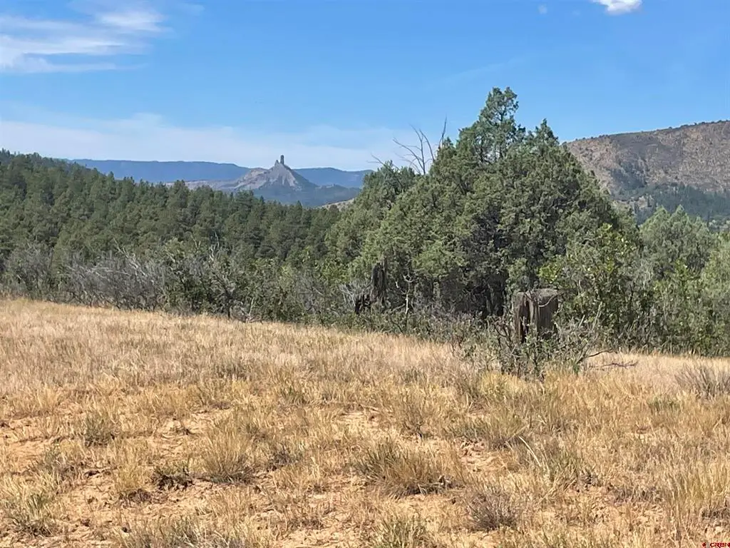 941 975,995 & 1027 Hurt Drive, Pagosa Springs, CO 81147 - #1