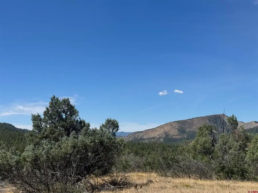 941 975,995 & 1027 Hurt Drive, Pagosa Springs, CO 81147 - #2