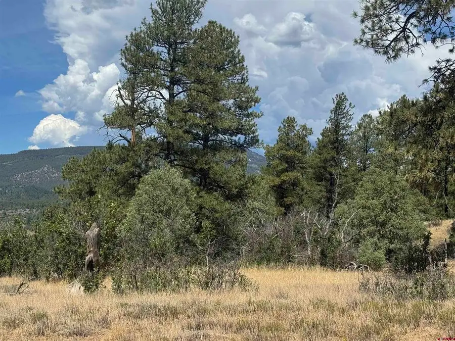 941 975,995 & 1027 Hurt Drive, Pagosa Springs, CO 81147 - #3