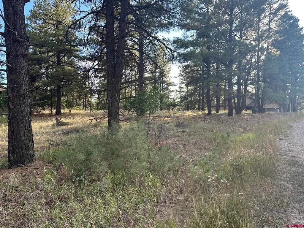 434 Twincreek Circle, Pagosa Springs, CO 81147 - #1