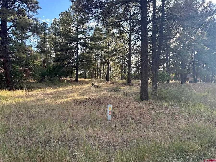 434 Twincreek Circle, Pagosa Springs, CO 81147 - #2