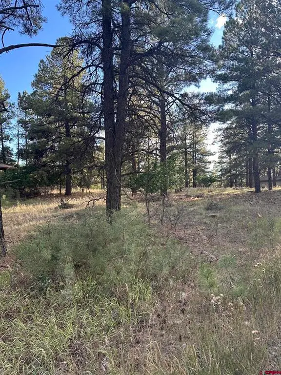 434 Twincreek Circle, Pagosa Springs, CO 81147 - #3