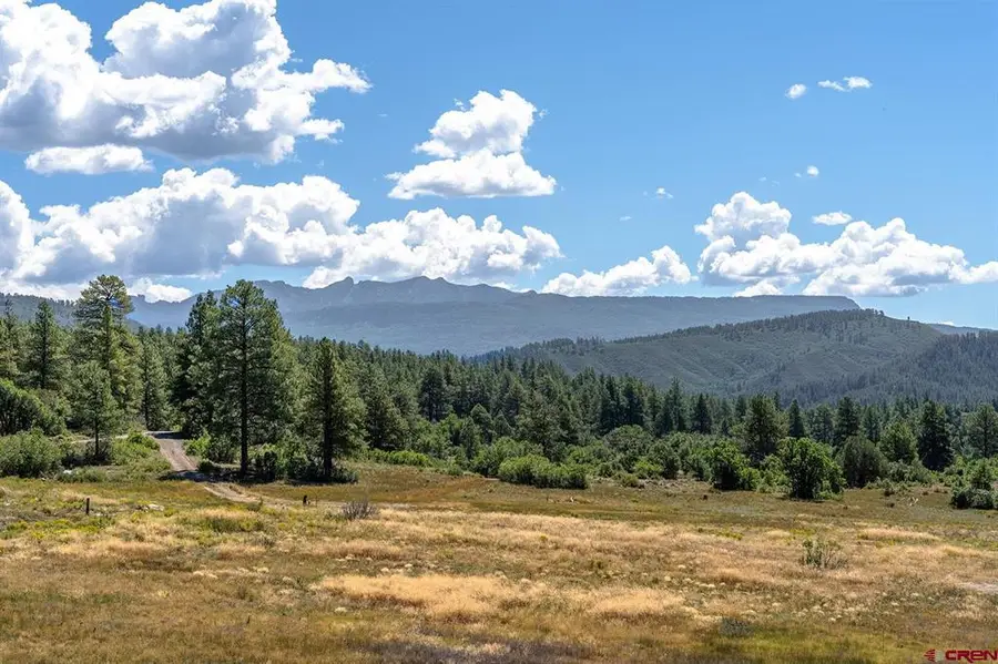 226 Serenity Pl, Pagosa Springs, CO 81147 - #3
