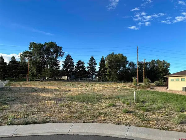 TBD Keller Court, Montrose, CO 81401