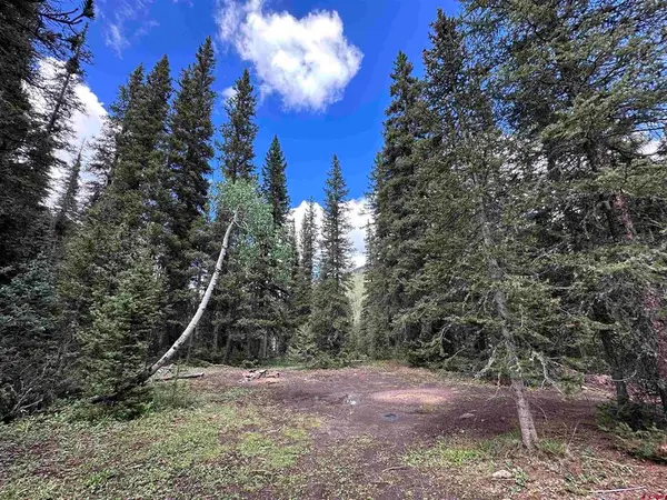 Lot 2 Overland Estates, Cr 110, Silverton, CO 81433