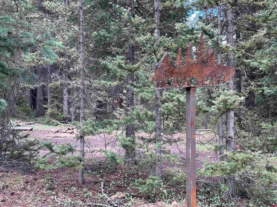 Lot 2 Overland Estates, Cr 110, Silverton, CO 81433 - #2