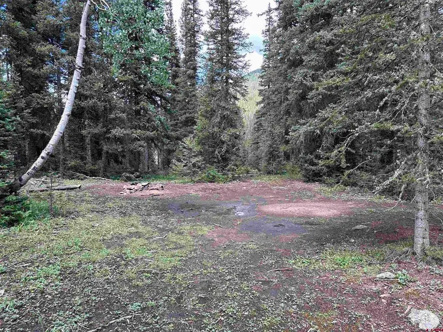 Lot 2 Overland Estates, Cr 110, Silverton, CO 81433 - #3