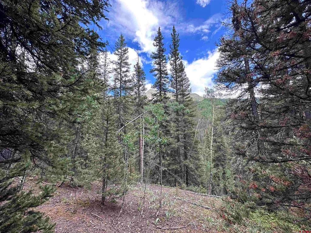 Lot 3 Overland Estates, Cr 110, Silverton, CO 81433 - #1