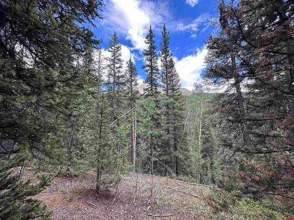 Lot 3 Overland Estates, Cr 110, Silverton, CO 81433