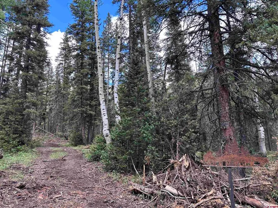 Lot 3 Overland Estates, Cr 110, Silverton, CO 81433 - #2