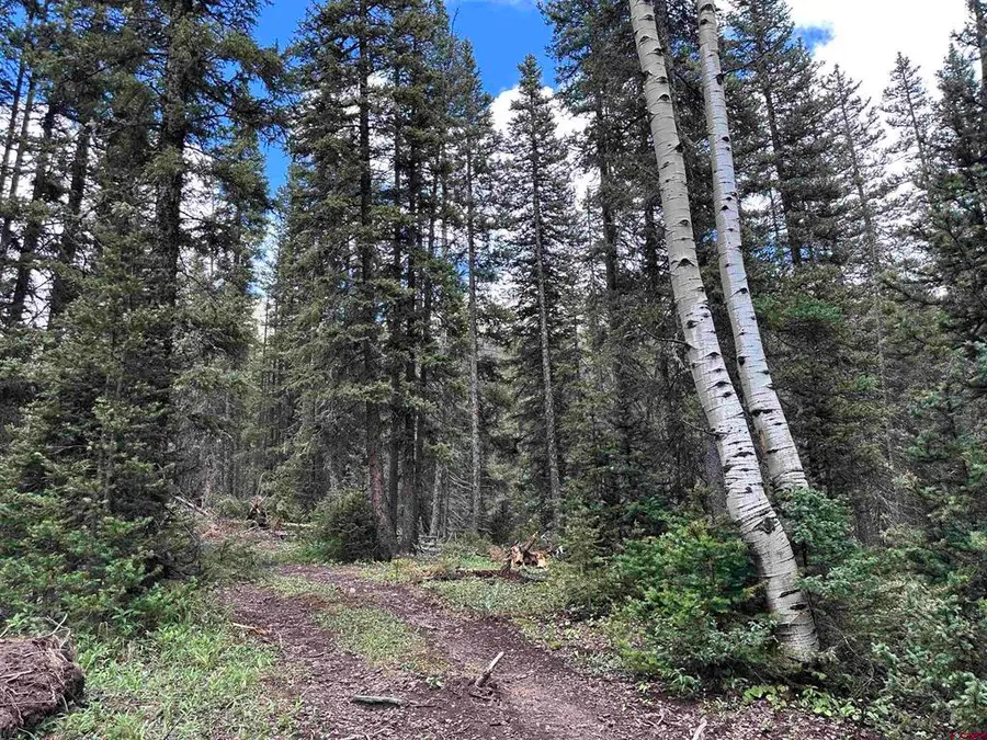 Lot 3 Overland Estates, Cr 110, Silverton, CO 81433 - #3