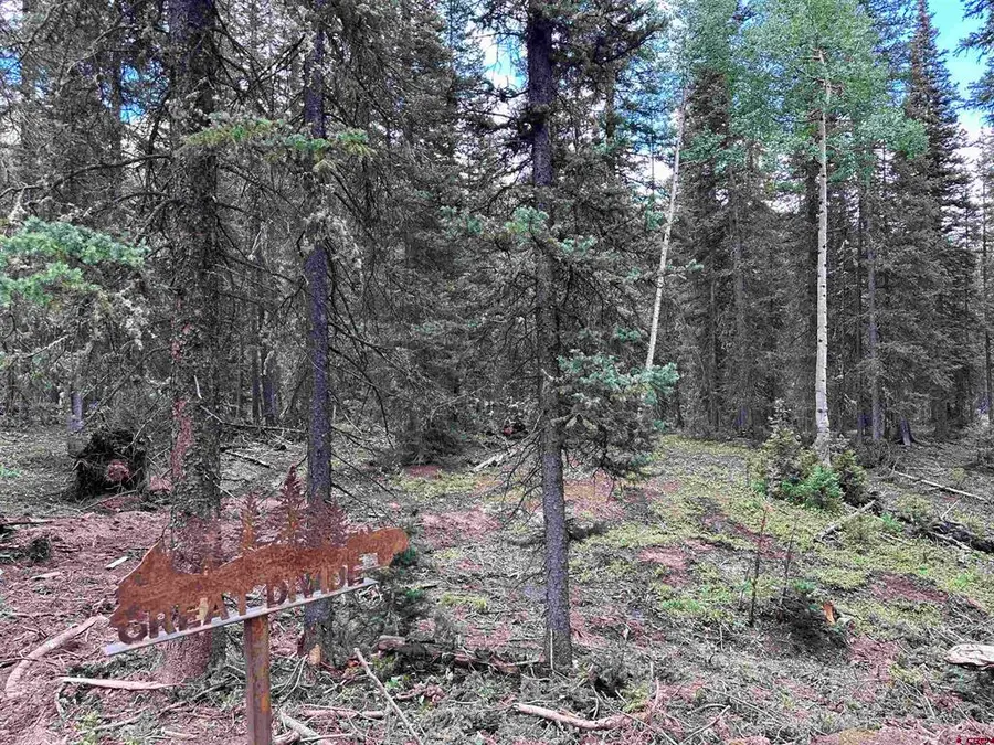 Lot 4 Overland Estates, Cr 110, Silverton, CO 81433 - #2