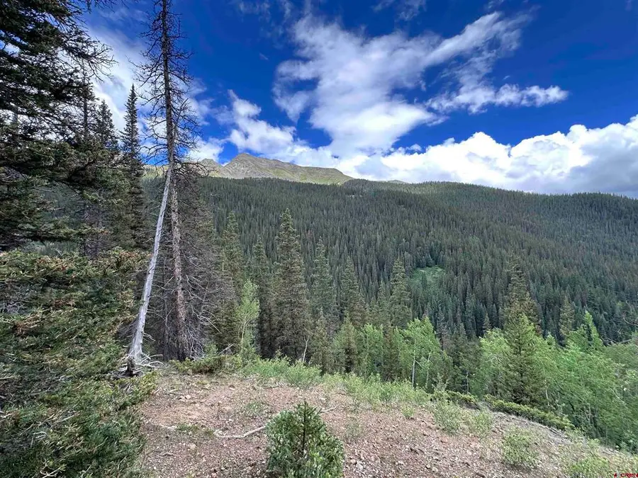 Lot 4 Overland Estates, Cr 110, Silverton, CO 81433 - #3