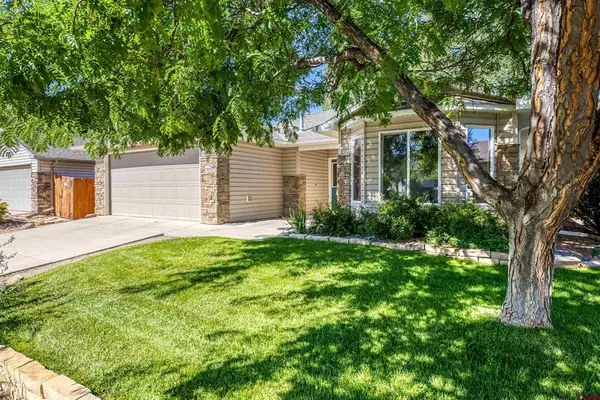 1309 Brush Creek Avenue, Montrose, CO 81401
