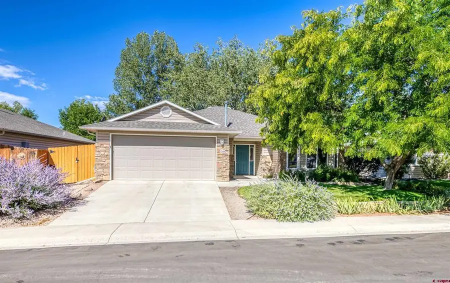 1309 Brush Creek Avenue, Montrose, CO 81401 - #3