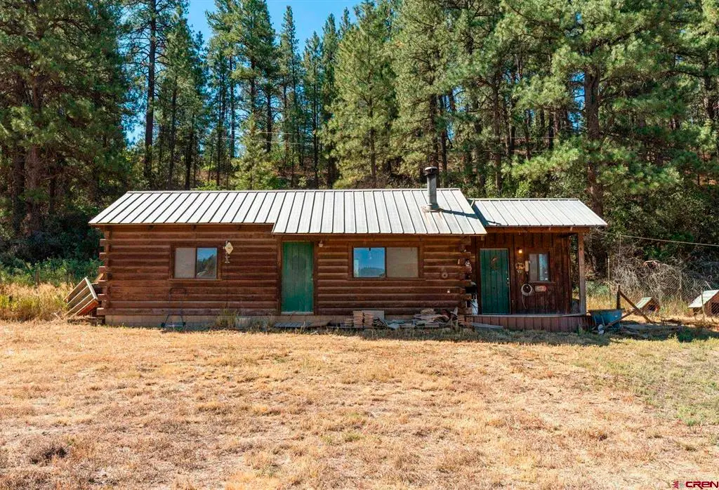 1059 E Stollsteimer, Pagosa Springs, CO 81147 - #1