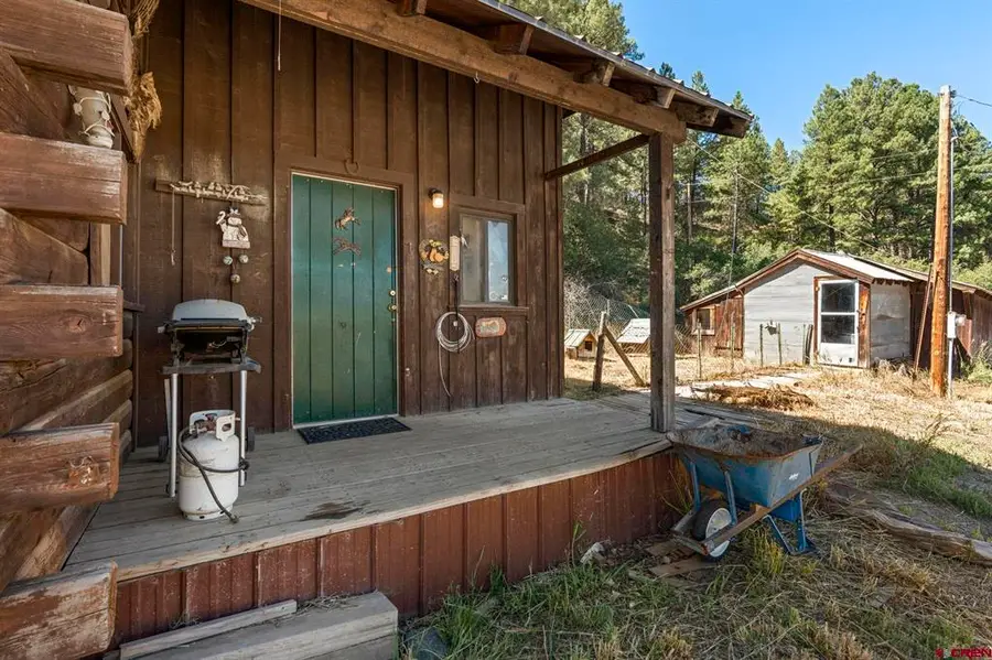 1059 E Stollsteimer, Pagosa Springs, CO 81147 - #2