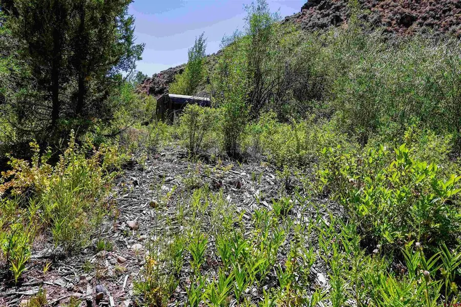 TBD County Road 16, Gunnison, CO 81230 - #2