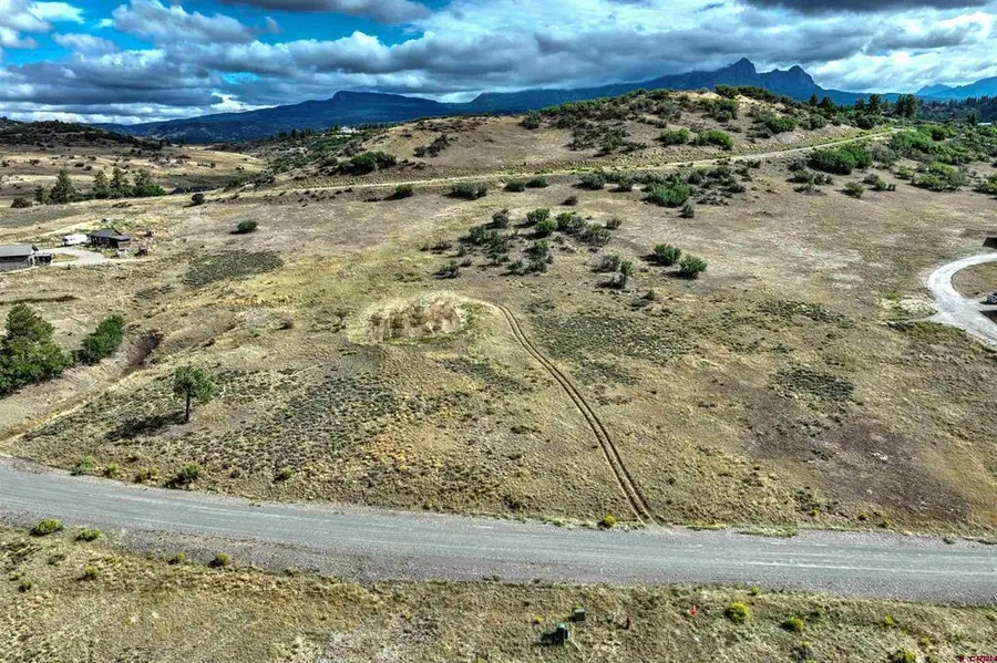 208 Spring Creek Circle, Chromo, CO 81128 - #3