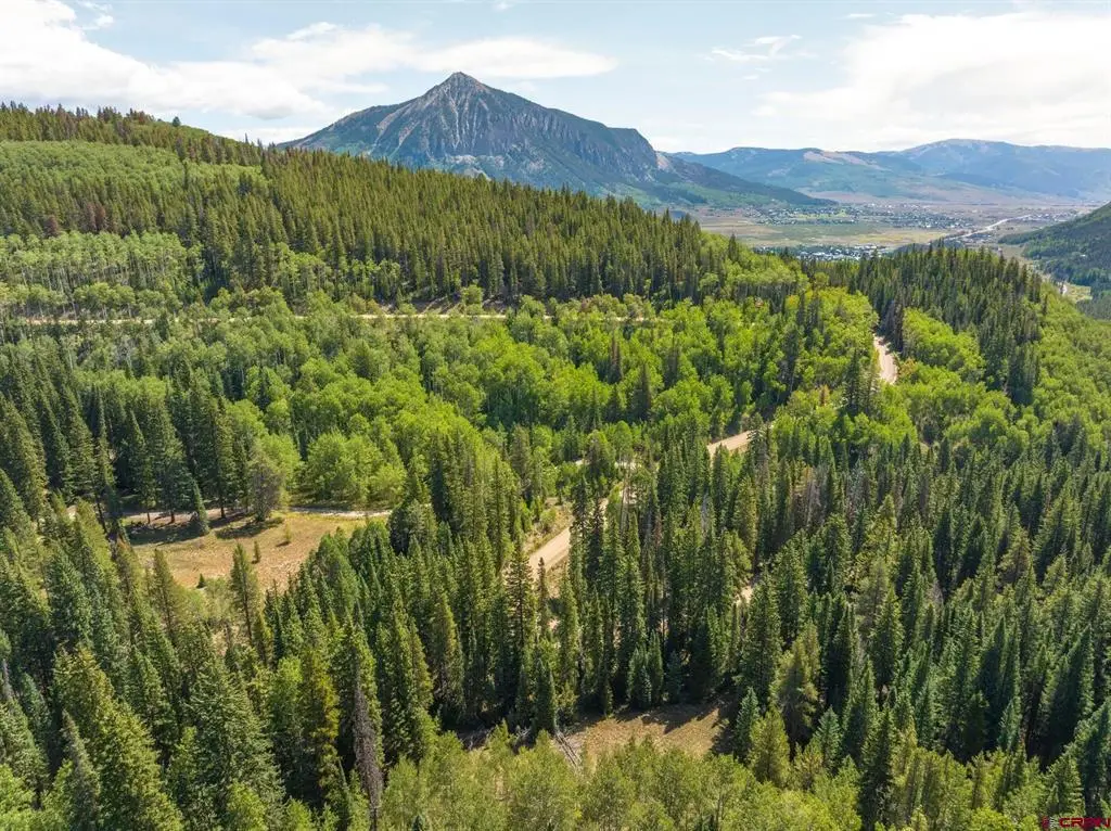 1217 Trappers Way, Crested Butte, CO 81224 - #1