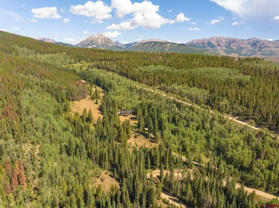 1217 Trappers Way, Crested Butte, CO 81224 - #3