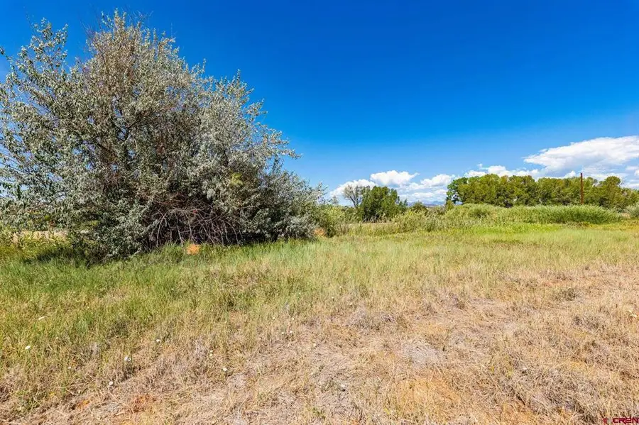 44 County Road 225a, Durango, CO 81301 - #2
