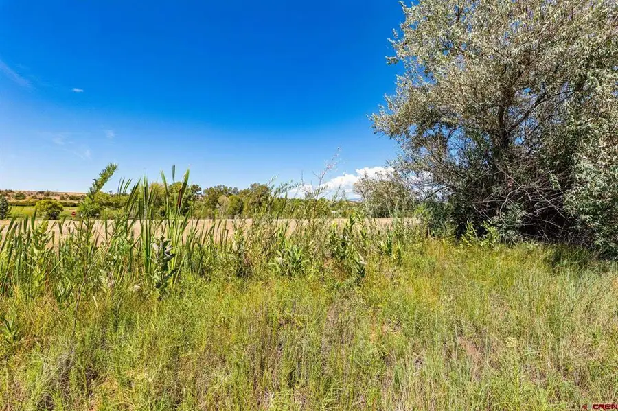 44 County Road 225a, Durango, CO 81301 - #3