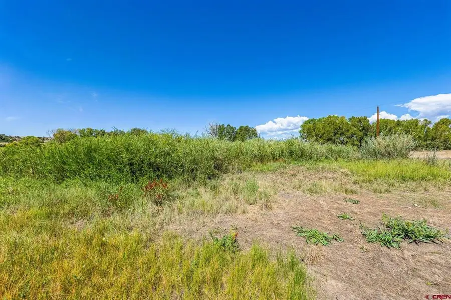 86 County Road 225a, Durango, CO 81301 - #3