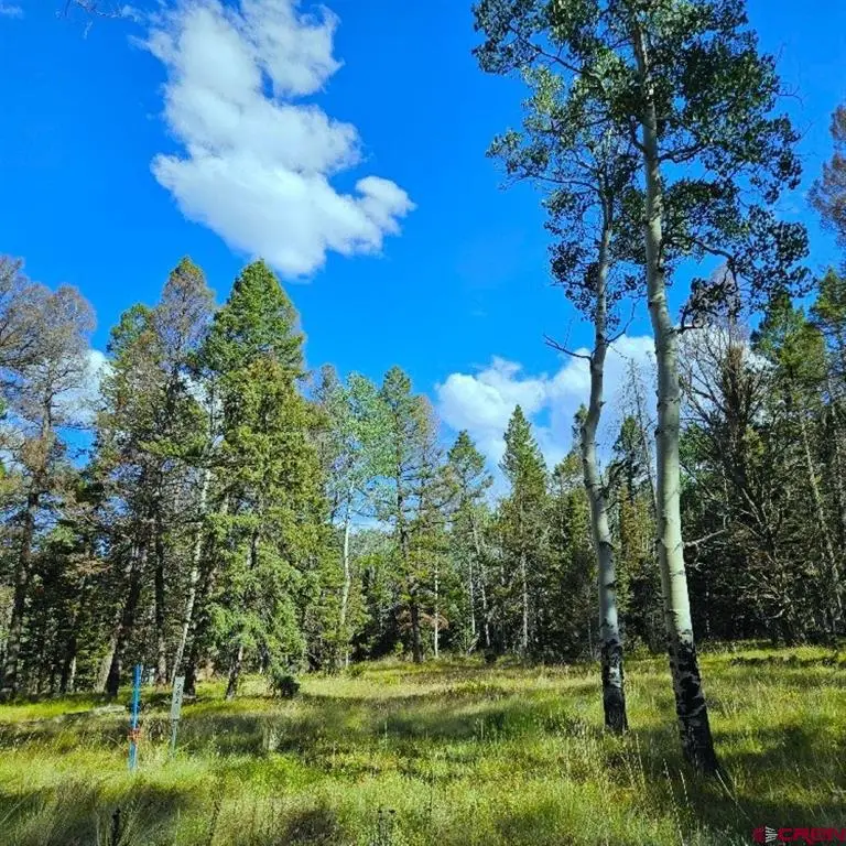 282 Aspen Trail, Cimarron, CO 81220 - #1