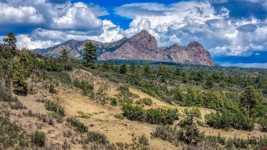 2816 Running Horse Place, Chromo, CO 81128 - #3