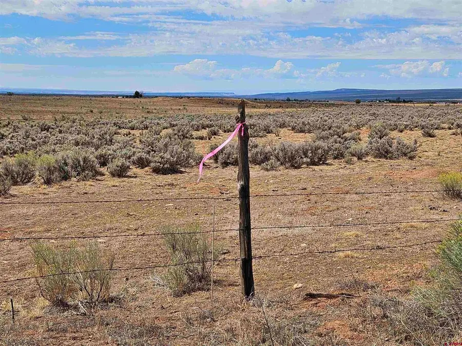 TBD County Road 130, Hesperus, CO 81326 - #3